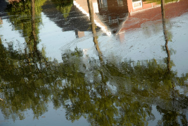 Similar image 8015820