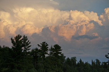 Similar image 8015821