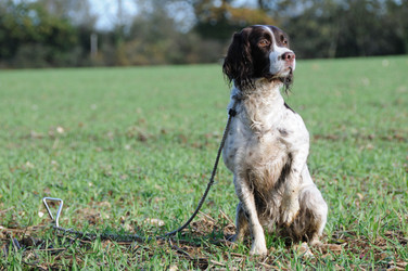 Similar image 8015824