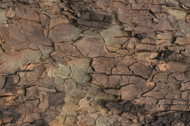 Similar image 8015834