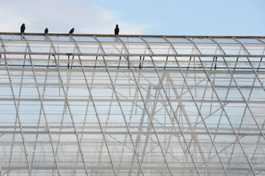 Similar image 8015852