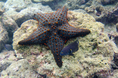 Similar image 8015855