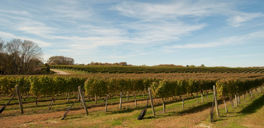 Similar image 8015857