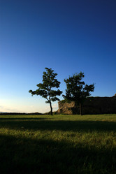 Similar image 8015859