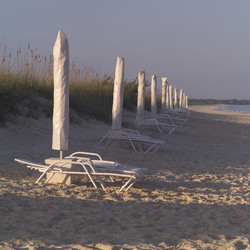 Similar image 8015873