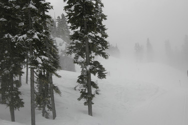 Similar image 8015878