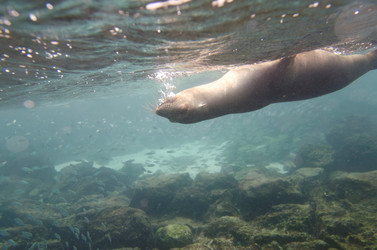 Similar image 8015881