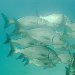 Similar image 8015885