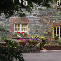 Similar image 8015887