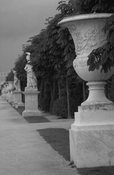 Similar image 8015888