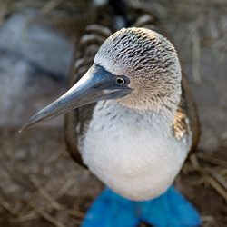 Similar image 8015891