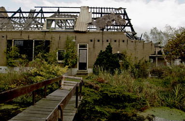 Similar image 8015895