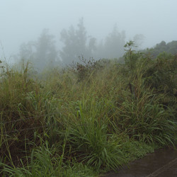 Similar image 8015899