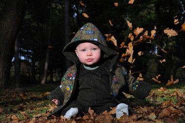 Similar image 8015904