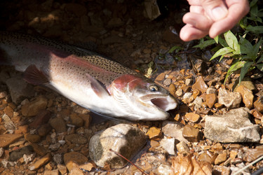 Similar image 8015920