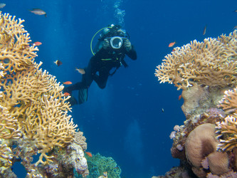 Similar image 8015928