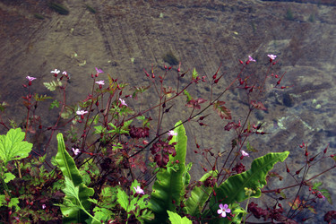 Similar image 8015931