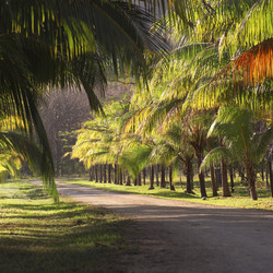 Similar image 8015932