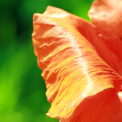 Similar image 8015934