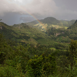 Similar image 8015936