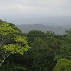 Similar image 8015946