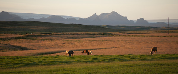 Similar image 8015950