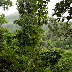 Similar image 8015955