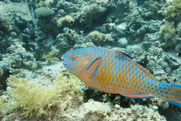 Similar image 8015965