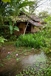 Similar image 8015969