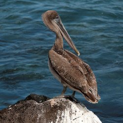 Similar image 8015982