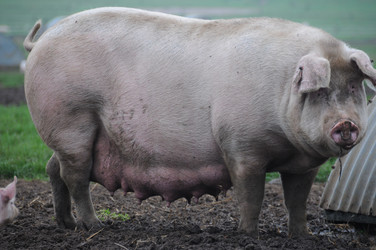 Similar image 8015984