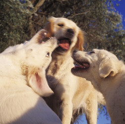 Similar image 8015992