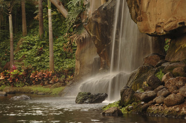 Similar image 8015993