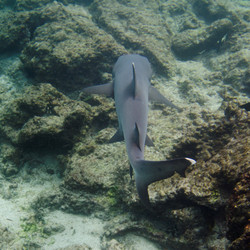 Similar image 8015996