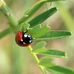 Similar image 8016002