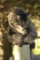 Similar image 8016013