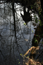 Similar image 8016020