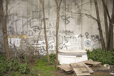 Similar image 8016033