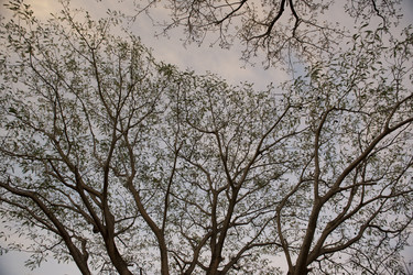 Similar image 8016035