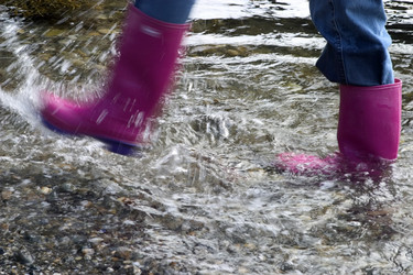 Similar image 8016040