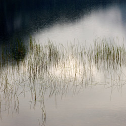 Similar image 8016043