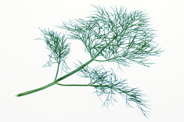 Similar image 8016055