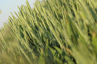 Similar image 8016066