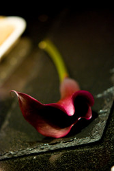 Similar image 8016067