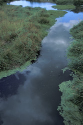 Similar image 8016087