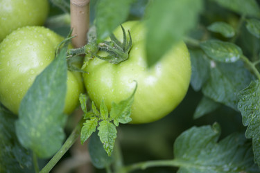 Similar image 8016089