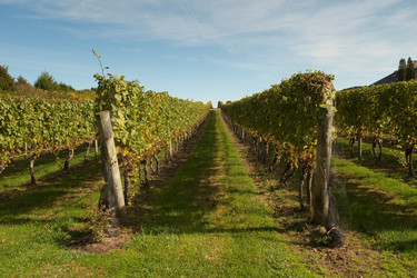 Similar image 8016092