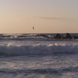 Similar image 8016095