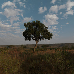 Similar image 8016113