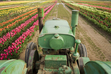 Similar image 8016120